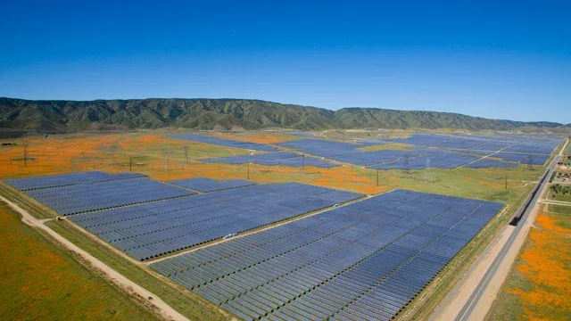 Solar panels in a field of poppies.